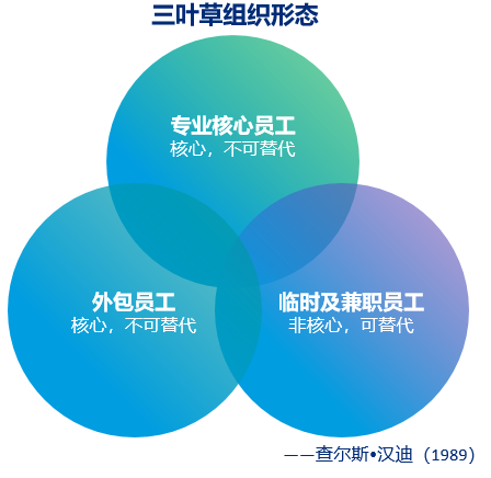 靈活用工三葉草組織形態